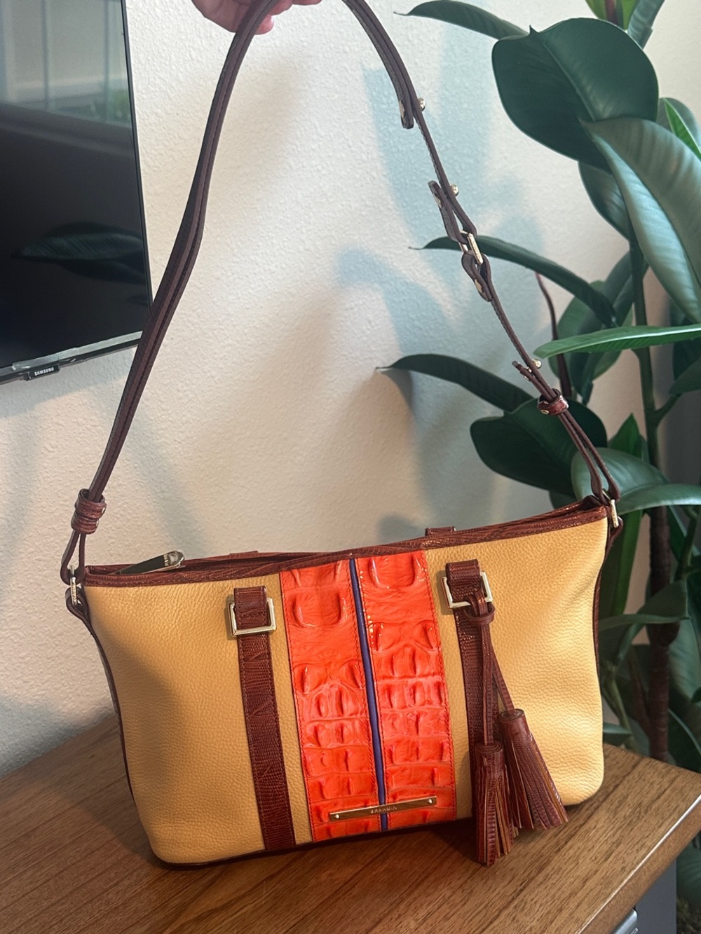 NEW! Brahmin Mini Asher Leather Tote - See Video!